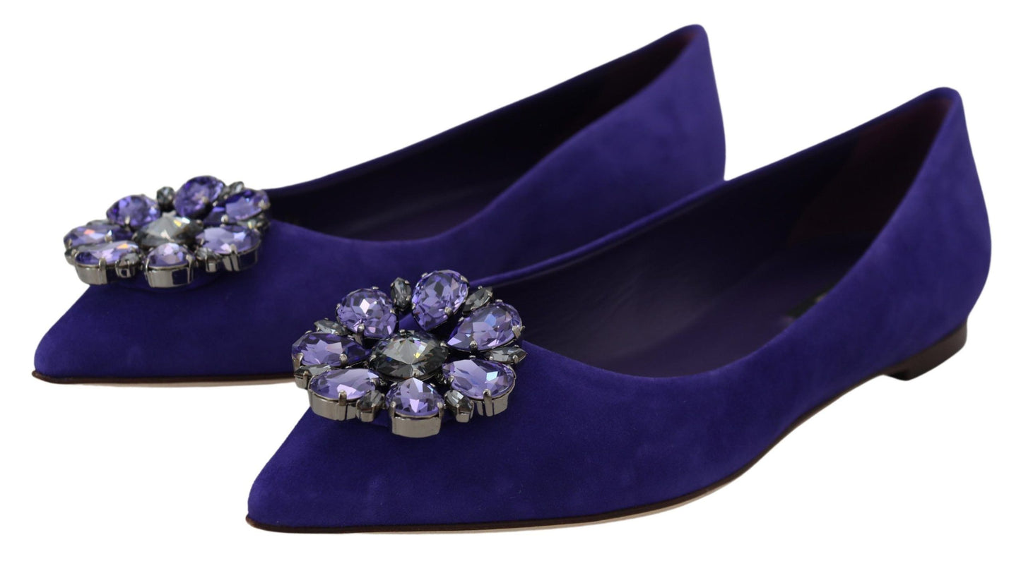 Dolce & Gabbana verzierte kristallviolette Wildleder-Flats