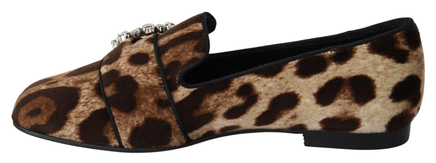 Dolce &amp; Gabbana Loafer mit Leopardenmuster und Kristallverzierung