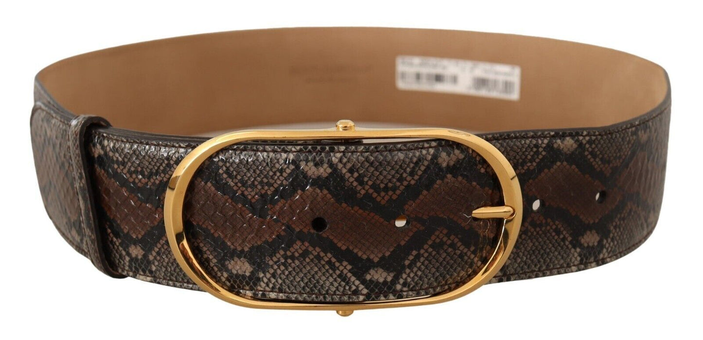 Dolce &amp; Gabbana Brown Exotic Leather Gold Oval Buckle Belt