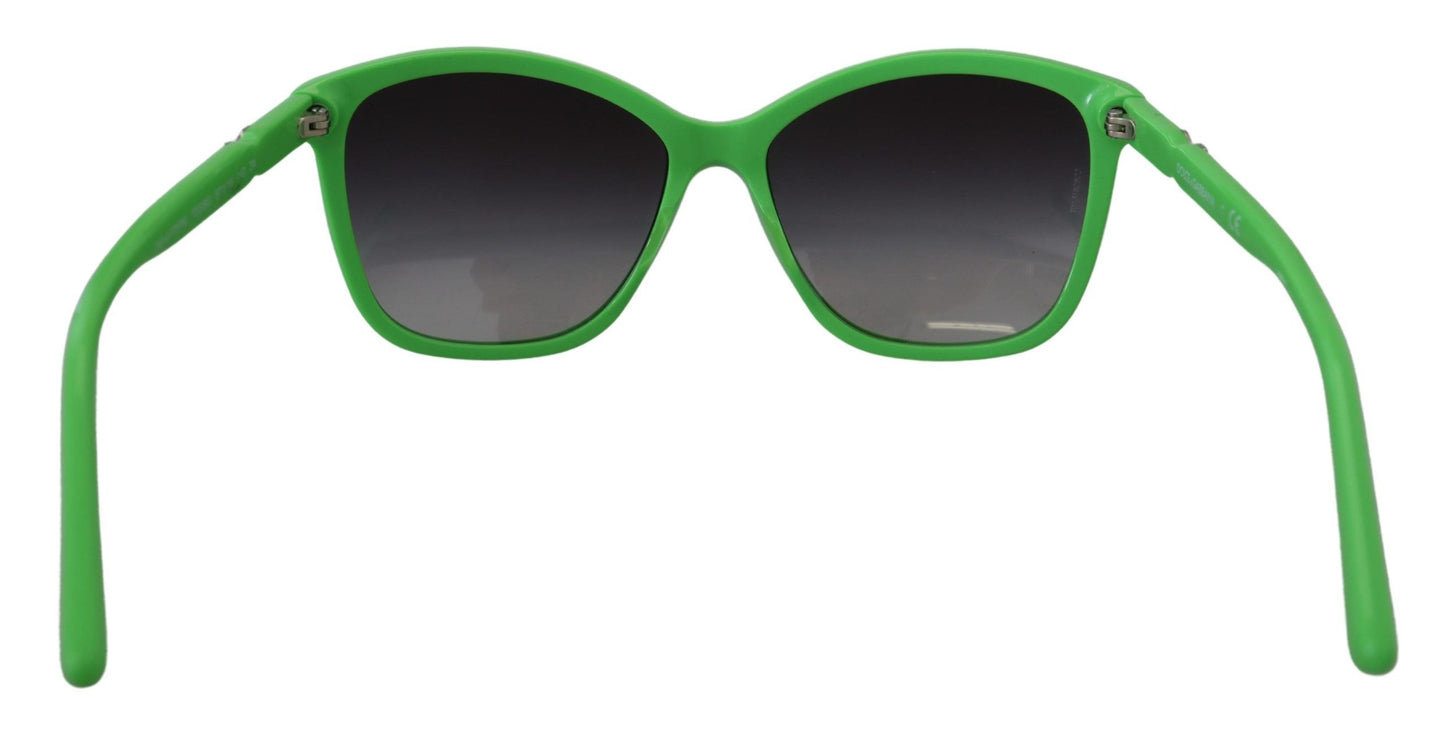 Dolce &amp; Gabbana Green Acetate Frame Round Shades DG4170PM Sunglasses