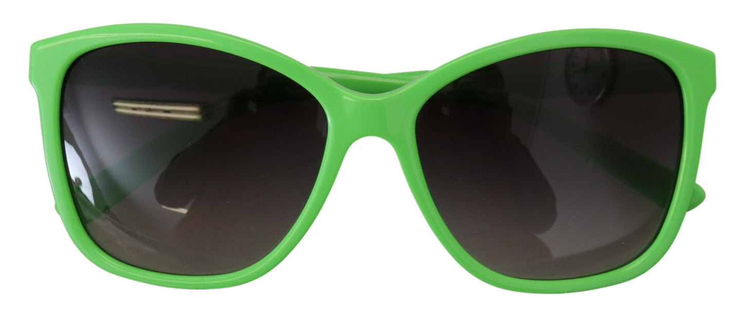 Dolce &amp; Gabbana Green Acetate Frame Round Shades DG4170PM Sunglasses