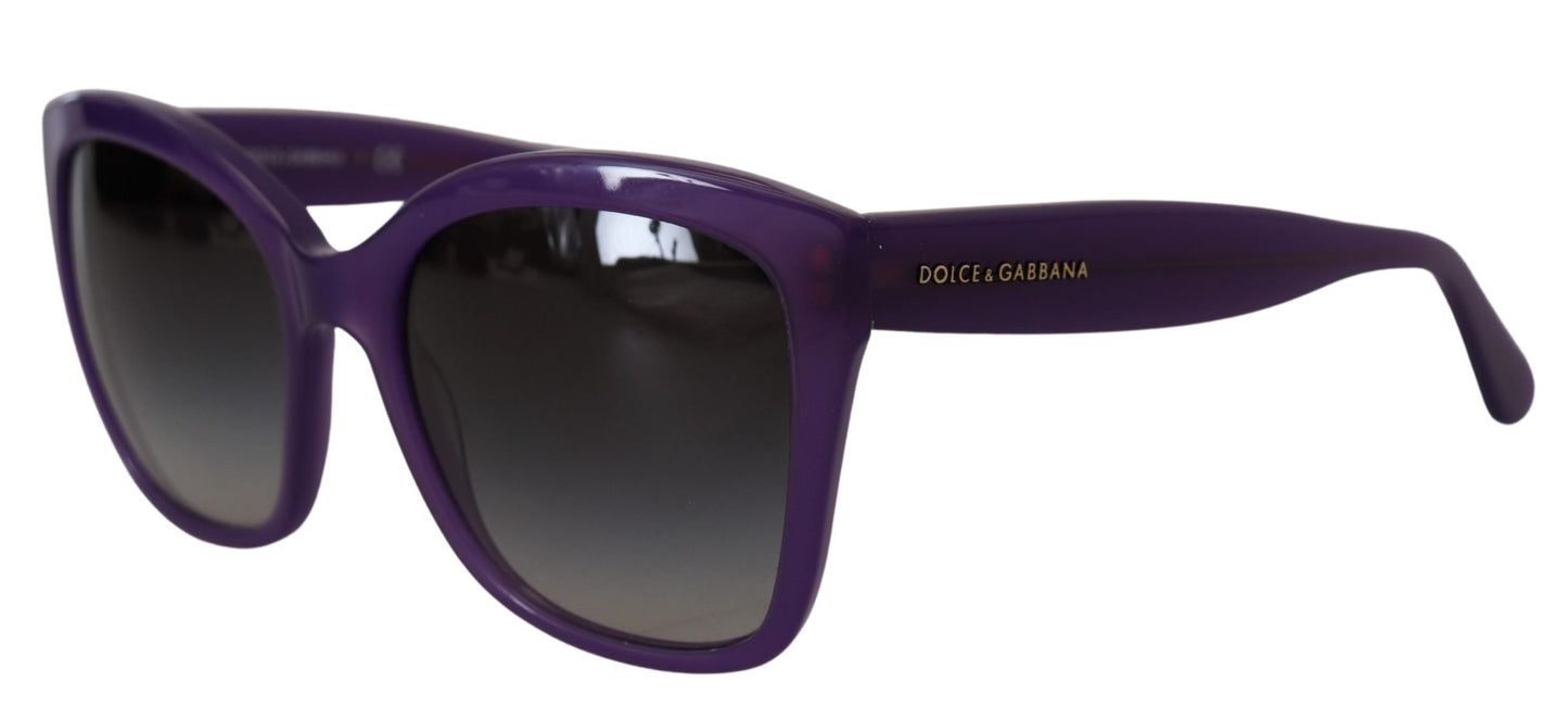 Dolce &amp; Gabbana Purple Acetate Square Full Rim DG4240 Sunglasses