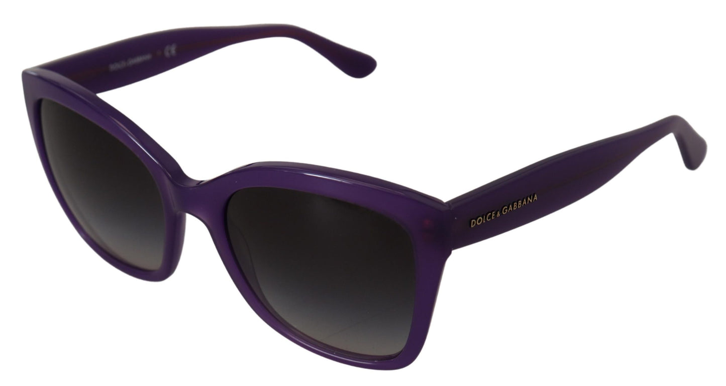 Dolce &amp; Gabbana Purple Acetate Square Full Rim DG4240 Sunglasses