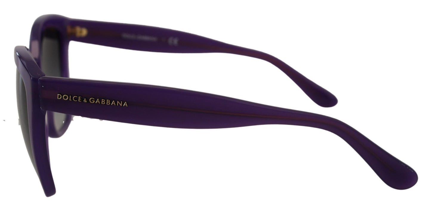 Dolce &amp; Gabbana Purple Acetate Square Full Rim DG4240 Sunglasses