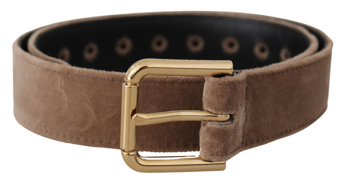 Dolce &amp; Gabbana Light Brown Velvet Gold Tone Logo Metal Buckle Belt