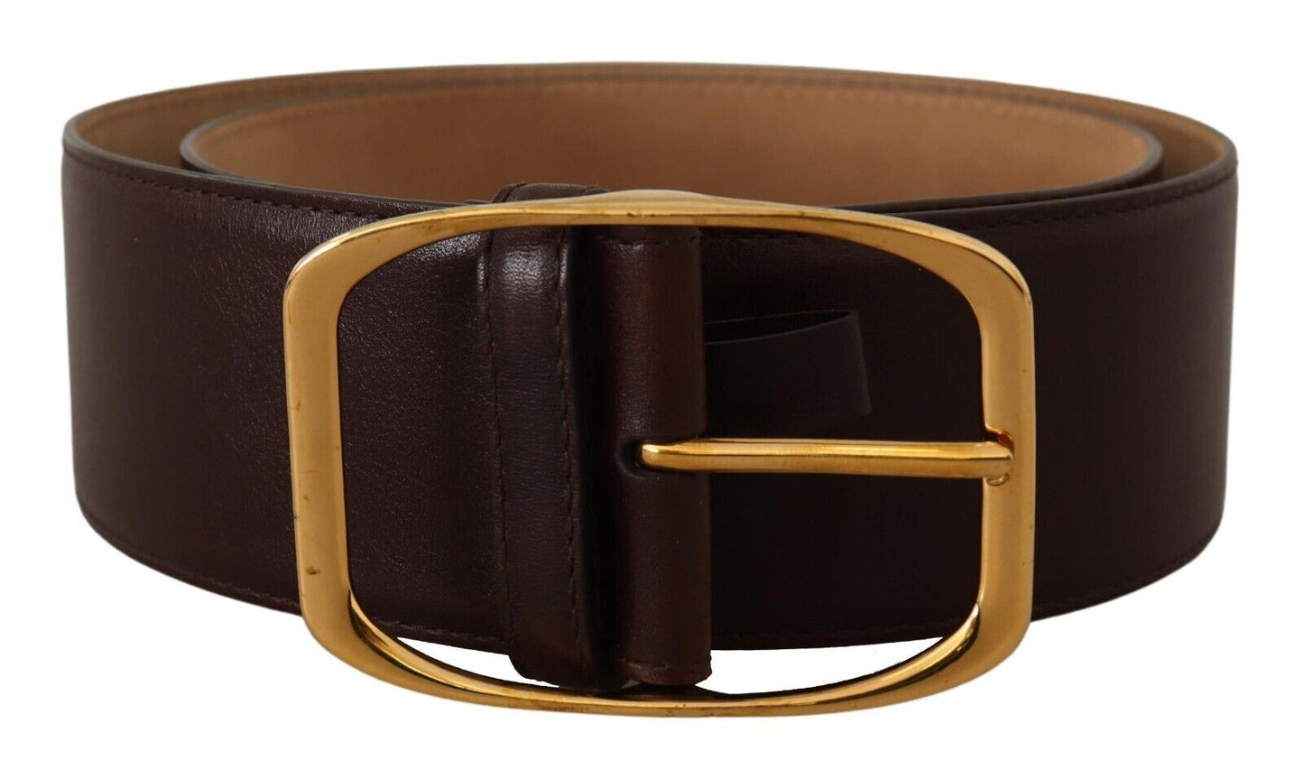 Dolce &amp; Gabbana Dark Brown Leather Gold Metal Buckle Belt