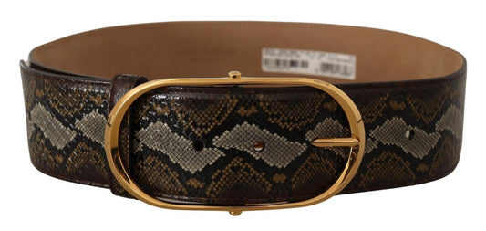 Dolce &amp; Gabbana Brown Python Leather Gold Oval Buckle Belt
