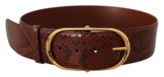 Dolce &amp; Gabbana Brown Exotic Leather Gold Oval Buckle Belt